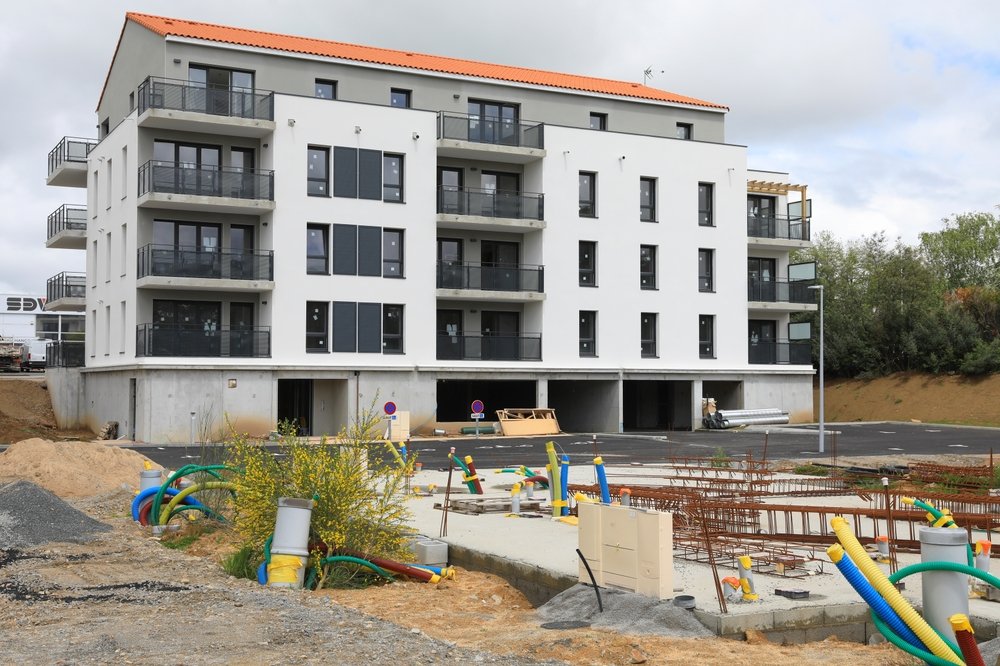 shutterstock_2317458451